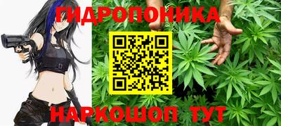 прущие крисы Краснодар