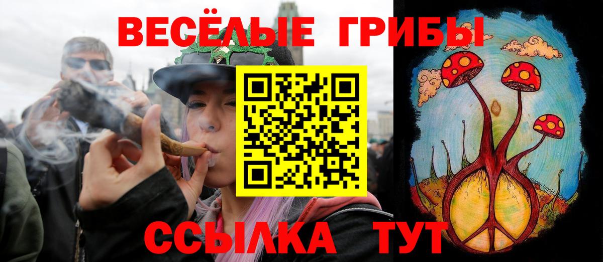 Псилоцибиновые грибы прущие грибы  Галлюциногенные грибы Psilocybine cubensis  Коркино  Вход с VPN 